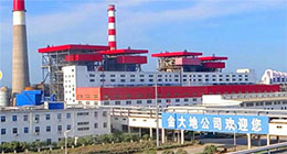 金山化工集团